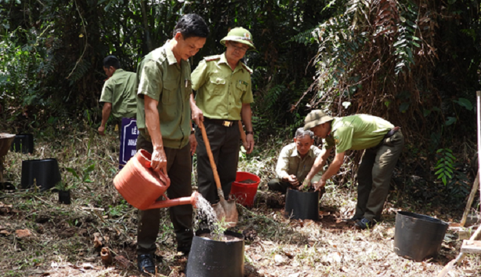 Ban quản lý khu bảo tồn loài sinh cảnh Thông nước hưởng ứng Tết trồng cây nhớ ơn Bác Hồ
